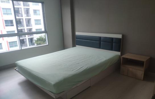 ������ �� SW ESTATE_Rental