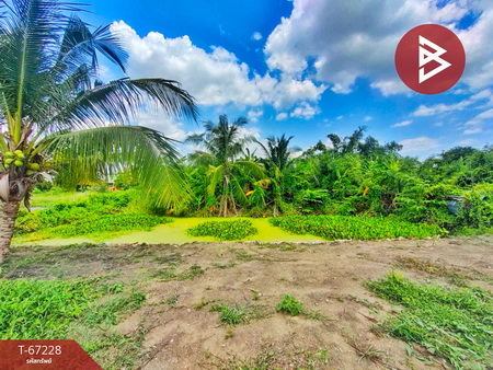 ��û�� �� The Best Property Agent