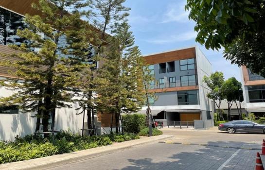 �ǹ��ǧ �� Danial Danderm