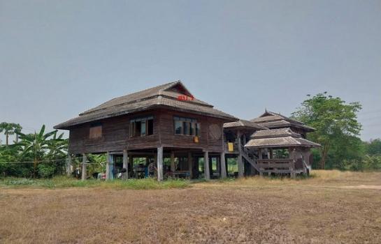 ����ӻҧ �� panaya.opalopal