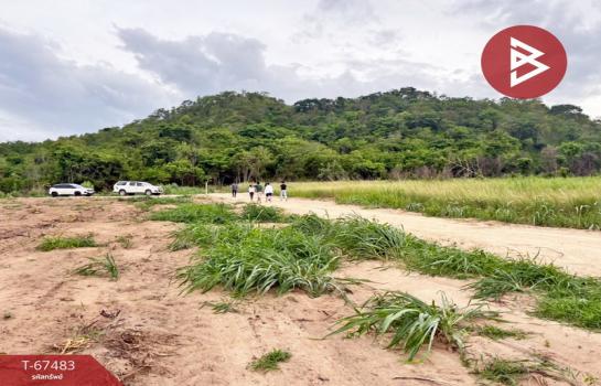 ����Ҫ���� �� The Best Property Agent