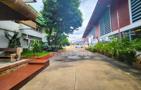 ����ç�ҹ �ҷá�ا෾