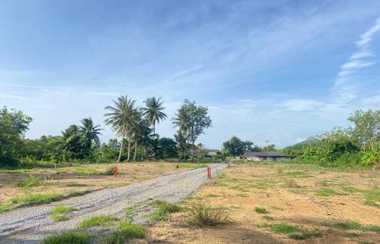 �ҡ �� rattana27