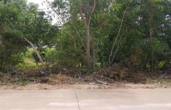 ���ͧ �� Jyn Property