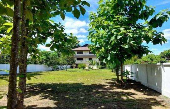 �ѹ��ᾧ �� onanong khumaphao