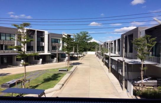 �ҧ�� �� onanong khumaphao