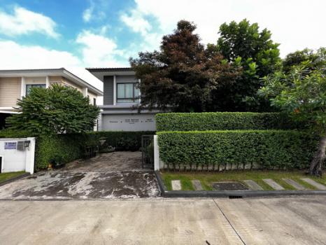 �ҧࢹ �� Nuttapong