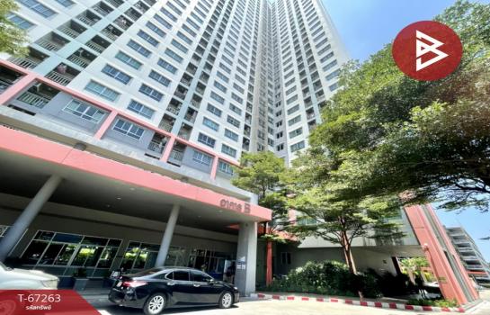 �չ���� �� The Best Property Agent