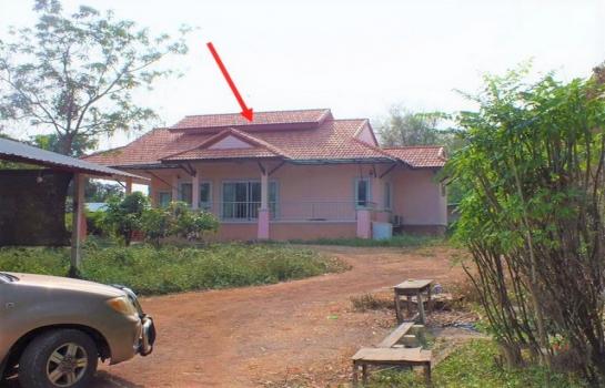 ����ӻҧ �� panaya.opalopal