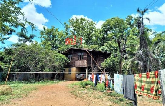 �ӻҧ �� compos2566