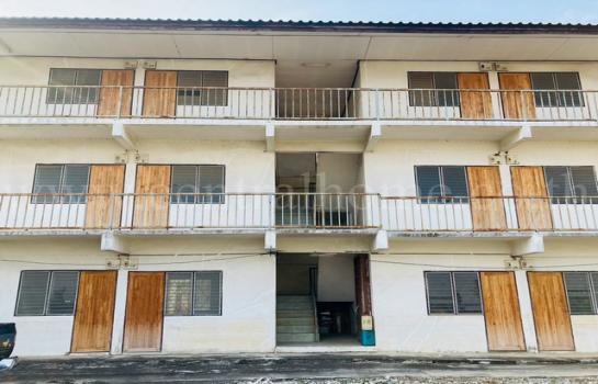 �Ҥ�þҳԪ���ѧ�Ե �ѭ����