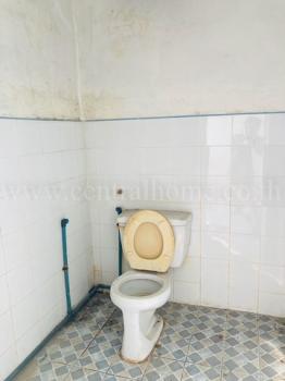 ����Ҥ�þҳԪ�� �ѭ����