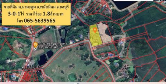 ���ʹԤ� �� sopa