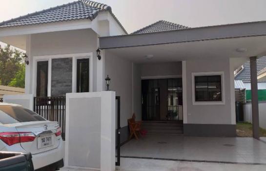 �Ң�ѭ �Ź�����