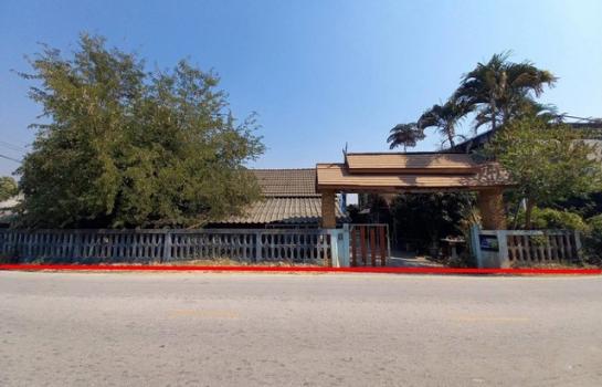 ����ӻҧ �� panaya.opalopal