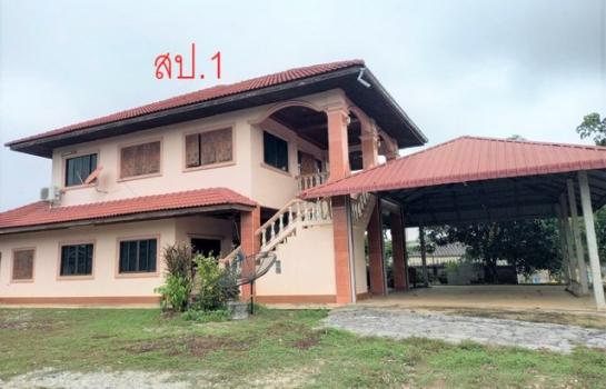 ����ӻҧ �� panaya.opalopal