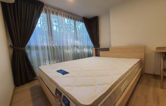 ��ا෾ �� SW ESTATE_Rental