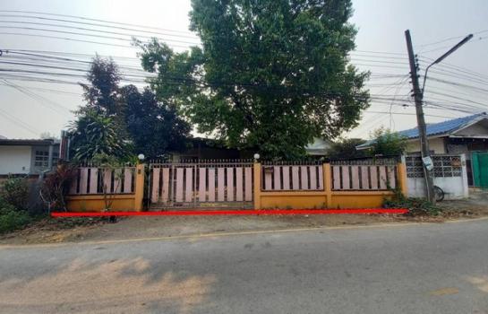 ����ӻҧ �� panaya.opalopal