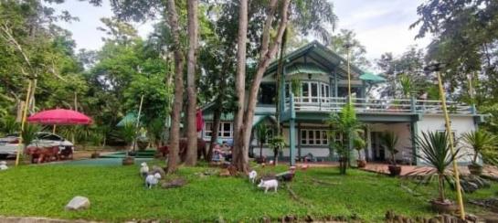 �ҧ�� �� northern1