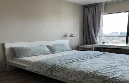 �ҧࢹ �� M Property