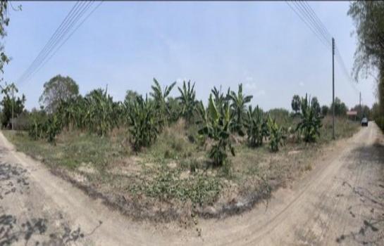 �Ҫ���� �� Jyn Property