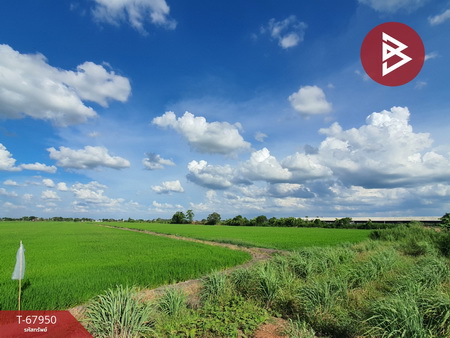 ��û�� �� The Best Property Agent