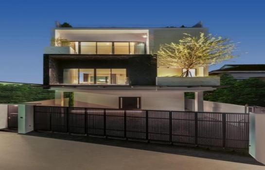 ��ҹ�Ѳ�� �� asangha PL