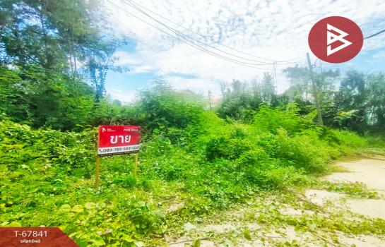 ��û�� �� The Best Property Agent