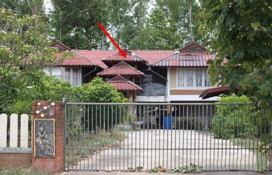 �Թ �� compos2566