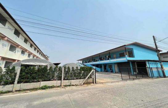 ����Ҫ� �� sopa