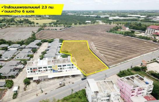 ��û�� �� The Vinvestor