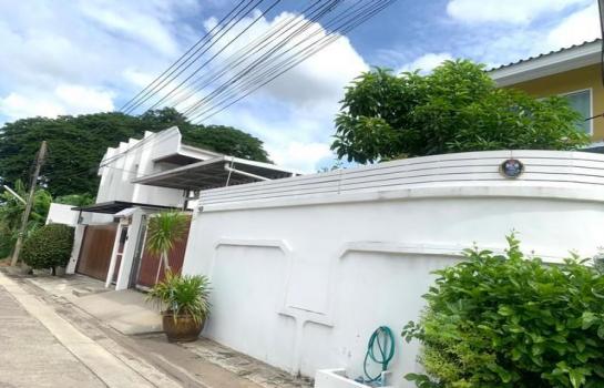 ��بѡ� �� asangha PL