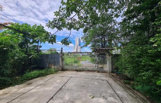 ������¢�ҧ �� asangha PL