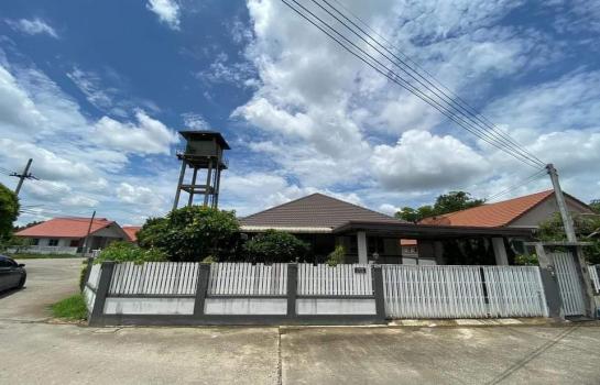 �Ң�ѭ �Ź�����