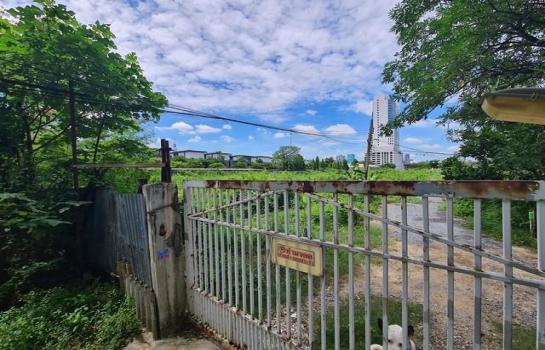 ���¢�ҧ �� naorinpl