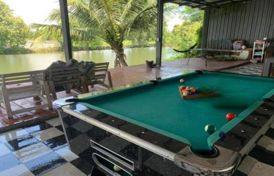 �ѹ��ᾧ �� northern1