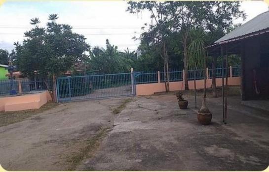 ����Ҫ���� �� Jyn Property