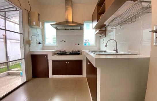 �����Һ�ҹ ��§����