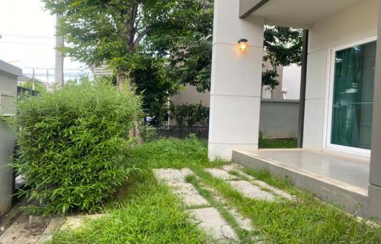 ��ҹ���������ú ��§����