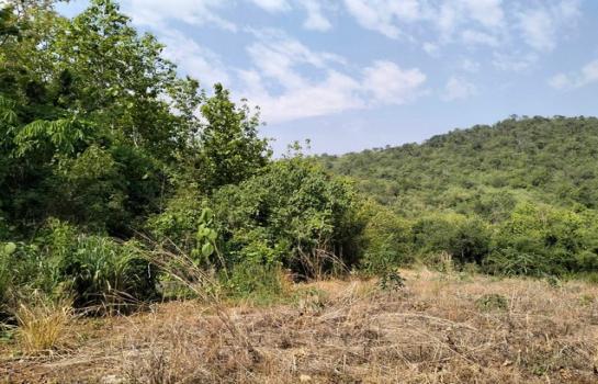 �ҡ �� Noname2023