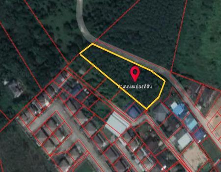 ���ͧ �� incube