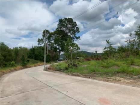 ที่ดิน pattaya ที่ดิน pattaya