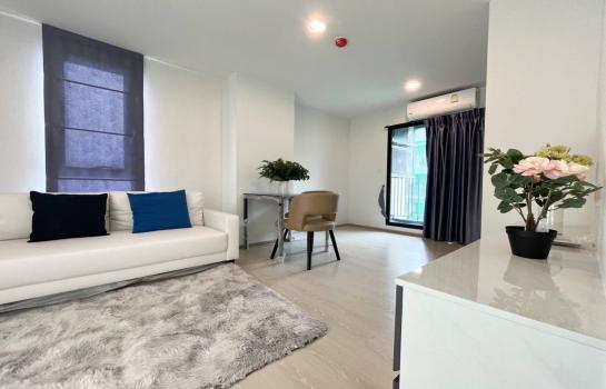 �͹�BITEC �ҧ��