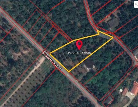 �ѹ����� �� incube