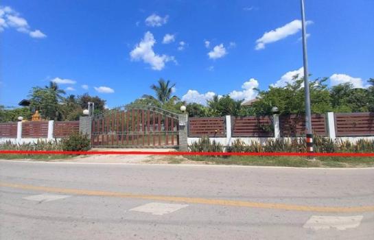 �ѹ��ᾧ �� panaya.opalopal