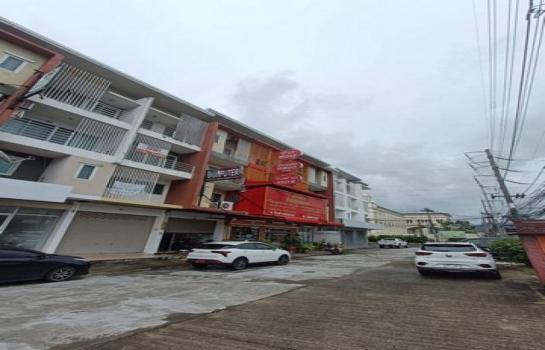 �Ҥ�þҳԪ��ʹ���Թ��§ ����