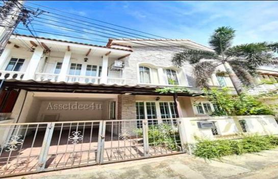 �͹���ͧ �� AssetD4U