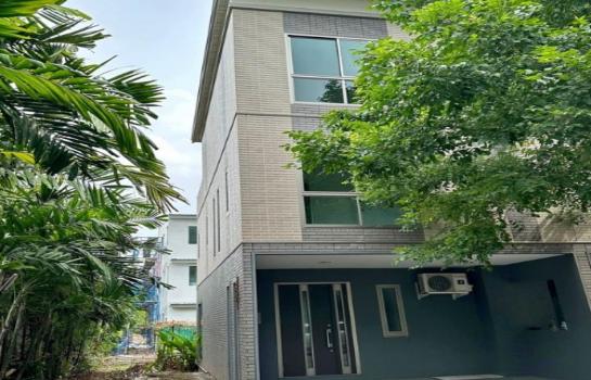 �ѹ����� �� coasset22