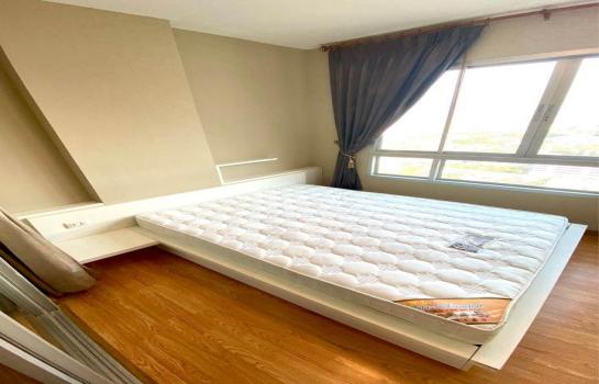 ��ا෾ �� M Property