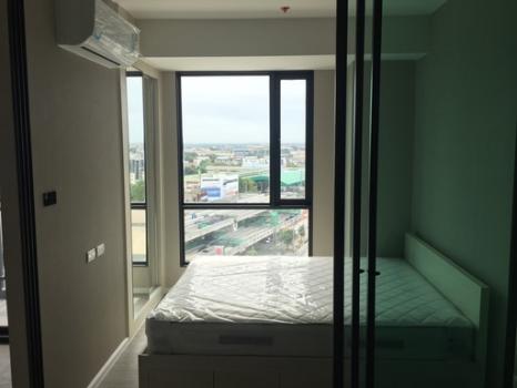 �ҧ�л� �� M Property